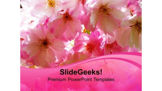 Blossoms Beauty Nature PowerPoint Templates Ppt Backgrounds For Slides 0213