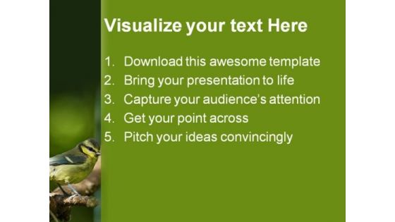 Blue Tit Fledgling Nature PowerPoint Themes And PowerPoint Slides 0211