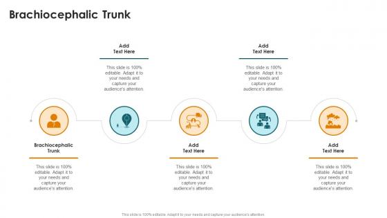 Brachiocephalic Trunk In Powerpoint And Google Slides Cpb
