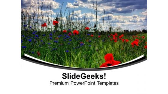 Bradenburg With Fields And Flowers PowerPoint Templates Ppt Backgrounds For Slides 0613