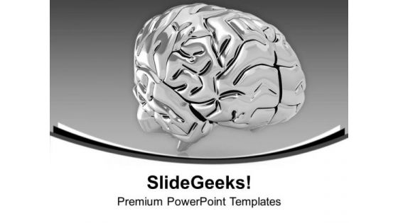 Brain Anatomy PowerPoint Templates Ppt Backgrounds For Slides 0413