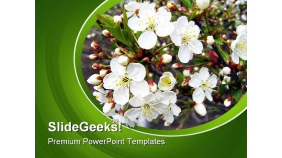 Branch Of A Blossoming Tree Nature PowerPoint Templates And PowerPoint Backgrounds 0311