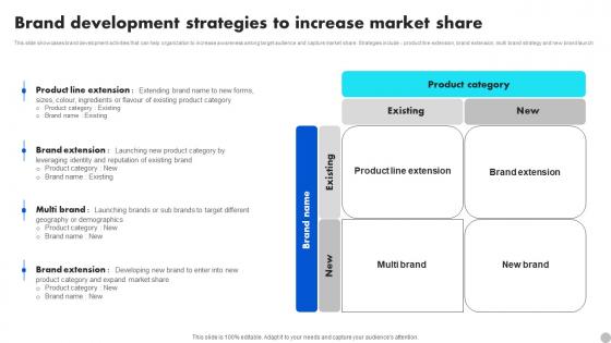 Brand Development Strategies To Increase Market Share Brand Diversification Approach Infographics Pdf