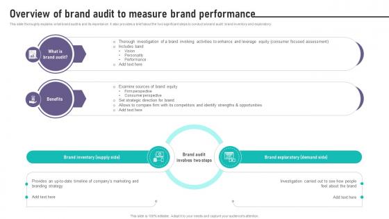 Brand Equity Management To Raise Overview Of Brand Audit To Measure Brand Performance