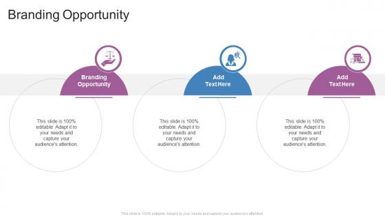Branding Opportunity In Powerpoint And Google Slides Cpb Branding Opportunity In Powerpoint And Google Slides Cpb