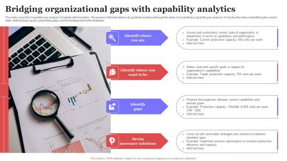 Bridging Organizational Gaps With Capability Analytics Ppt Inspiration Objects PDF