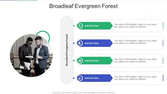 Broadleaf Evergreen Forest In Powerpoint And Google Slides Cpb