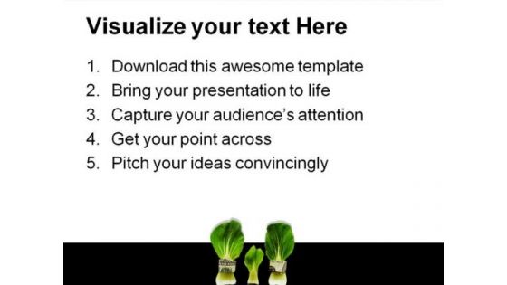 Budget Family Money PowerPoint Templates And PowerPoint Backgrounds 0511