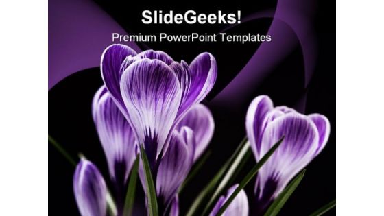 Bunch Of Flowers Beauty PowerPoint Templates And PowerPoint Backgrounds 0211