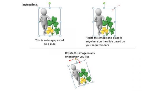 Business And Strategy Planting Trees 3d Illustration Basic Concepts