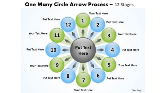 Business Cycle Diagram One Many Circle Arrow Process 12 Stages Marketing Diagram