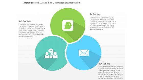 Business Diagram Interconnected Circles For Consumer Segmentation Presentation Template