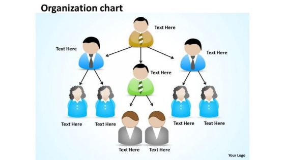 Business Diagram Organization Sketch Marketing Diagram