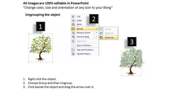 Business Finance Strategy Development Family Tree 1 Sales Diagram