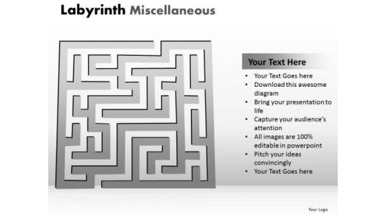 Business Finance Strategy Development Labyrinth Misc Business Diagram
