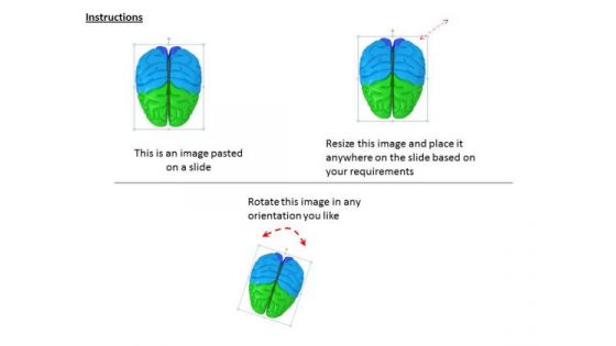 Business Level Strategy Definition See The Human Brain Graphics Images