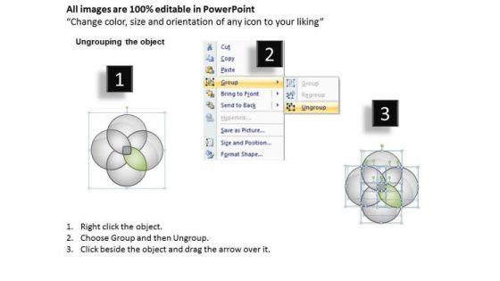 Business Model Diagram Examples Venn Showing Four Aspects Ppt PowerPoint Templates