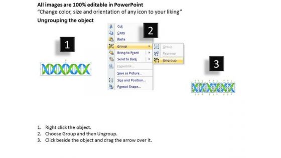 Business PowerPoint Template Dna Double Helix For Human Ppt Templates