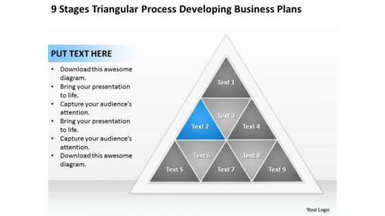 Business Process Diagram Chart Triangular Developing Plans Ppt PowerPoint Slide