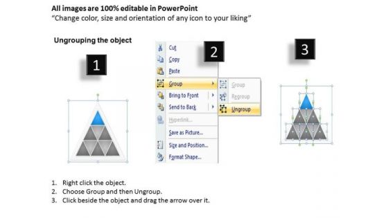 Business Process Diagram Chart Triangular Developing Plans Ppt PowerPoint Slides