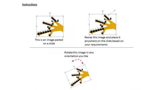 Business Strategy Development Illustration Of Corporate Group Functions Images And Graphics