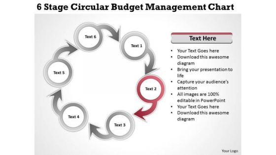 Business Strategy Review 6 Stage Circular Budget Management Chart Planning