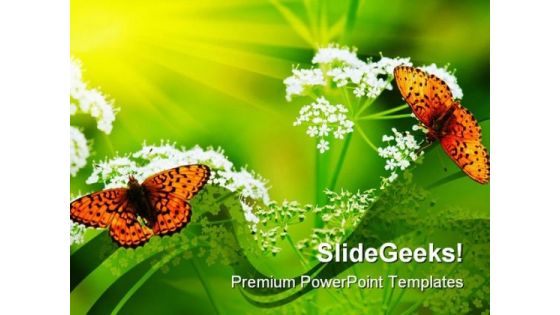 Butterflies On Flowers Nature PowerPoint Templates And PowerPoint Backgrounds 0211