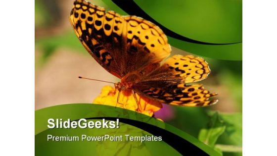 Butterfly And Sunflower Animals PowerPoint Themes And PowerPoint Slides 0211