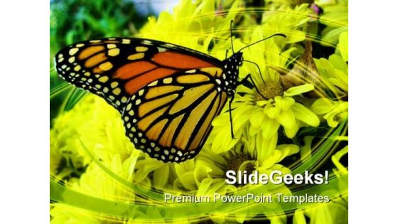 Butterfly Animals PowerPoint Backgrounds And Templates 0111