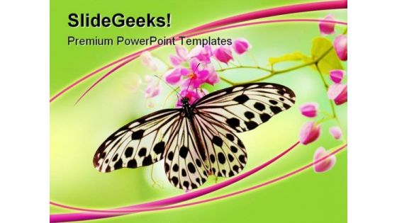 Butterfly Animals PowerPoint Template 0910