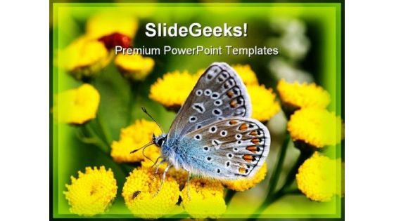 Butterfly Beauty PowerPoint Templates And PowerPoint Backgrounds 0211