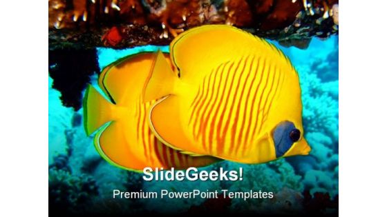 Butterfly Fish Animals PowerPoint Template 0910