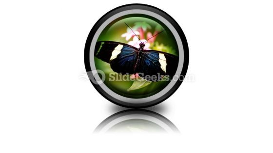 Beautiful Butterfly PowerPoint