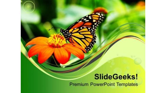 Butterfly With Flower PowerPoint Templates Ppt Backgrounds For Slides 0613