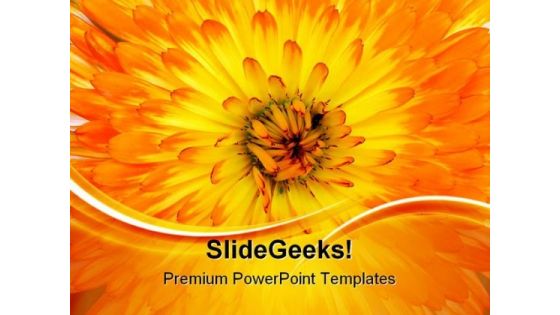 Calendula Background Nature PowerPoint Templates And PowerPoint Backgrounds 0511