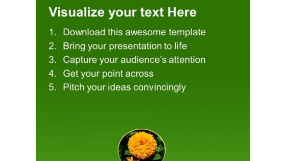 Calendula PowerPoint Templates Ppt Backgrounds For Slides 0413