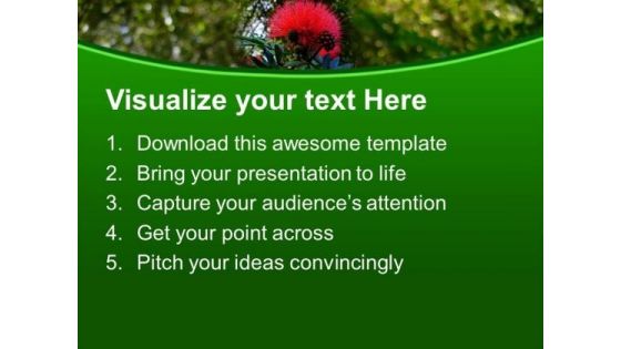 Calliandra Grandiflora Flower Plant PowerPoint Templates Ppt Backgrounds For Slides 0513