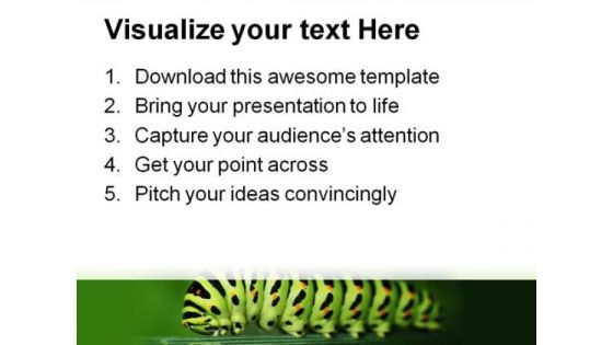 Caterpillar Animals PowerPoint Templates And PowerPoint Backgrounds 0211