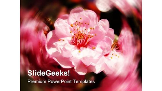 Cherry Blossoms Nature PowerPoint Templates And PowerPoint Backgrounds 0311