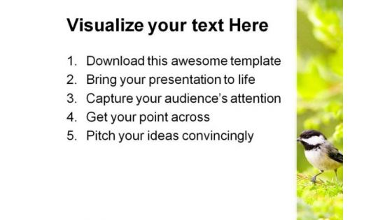Chickadee Animals PowerPoint Themes And PowerPoint Slides 0211