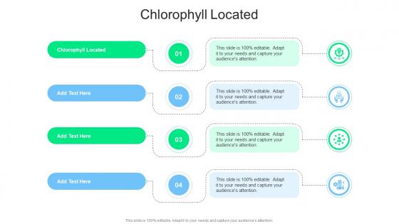 Chlorophyll Located In Powerpoint And Google Slides Cpb