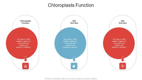Chloroplasts Function In Powerpoint And Google Slides Cpb Chloroplasts Function In Powerpoint And Google Slides Cpb