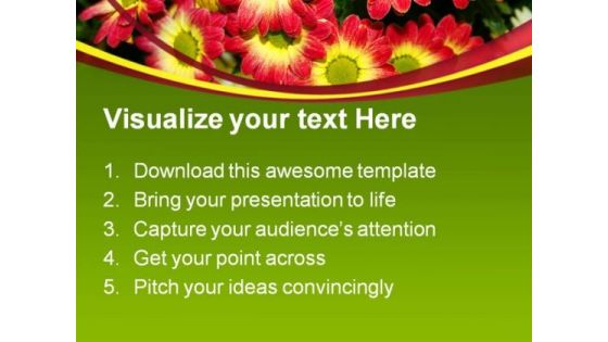 Chrysanthemum Flower Nature PowerPoint Templates And PowerPoint Backgrounds 0211