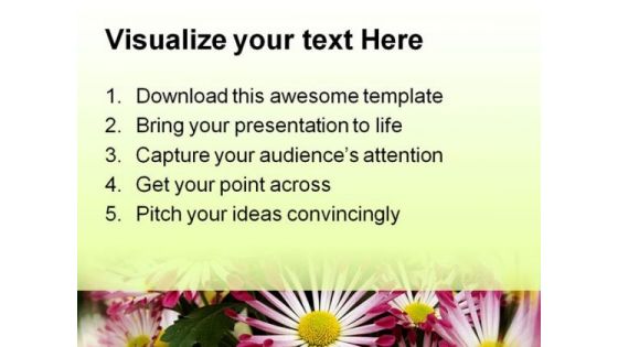 Chrysanthemums Nature PowerPoint Templates And PowerPoint Backgrounds 0311