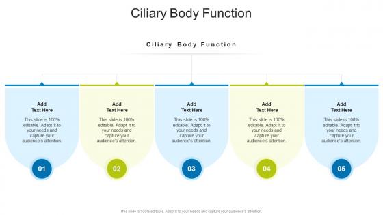 Ciliary Body Function In Powerpoint And Google Slides Cpb