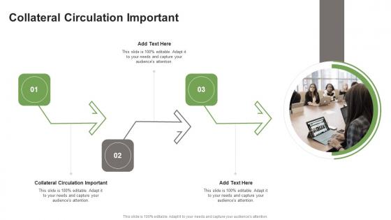 Collateral Circulation Important In Powerpoint And Google Slides Cpb