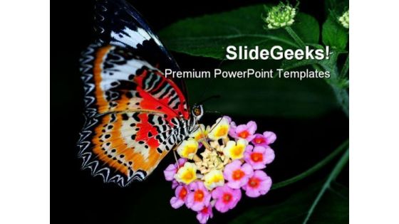 Colorful Butterfly Animals PowerPoint Templates And PowerPoint Backgrounds 0211