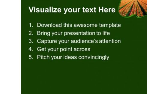Colorful Tulips On Beautiful Background PowerPoint Templates Ppt Backgrounds For Slides 0213