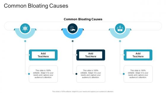 Common Bloating Causes In Powerpoint And Google Slides Cpb Common Bloating Causes In Powerpoint And Google Slides Cpb