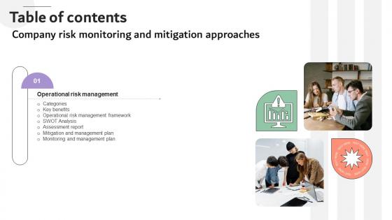 Company Risk Monitoring And Mitigation Approaches Table Of Contents DTE SS V